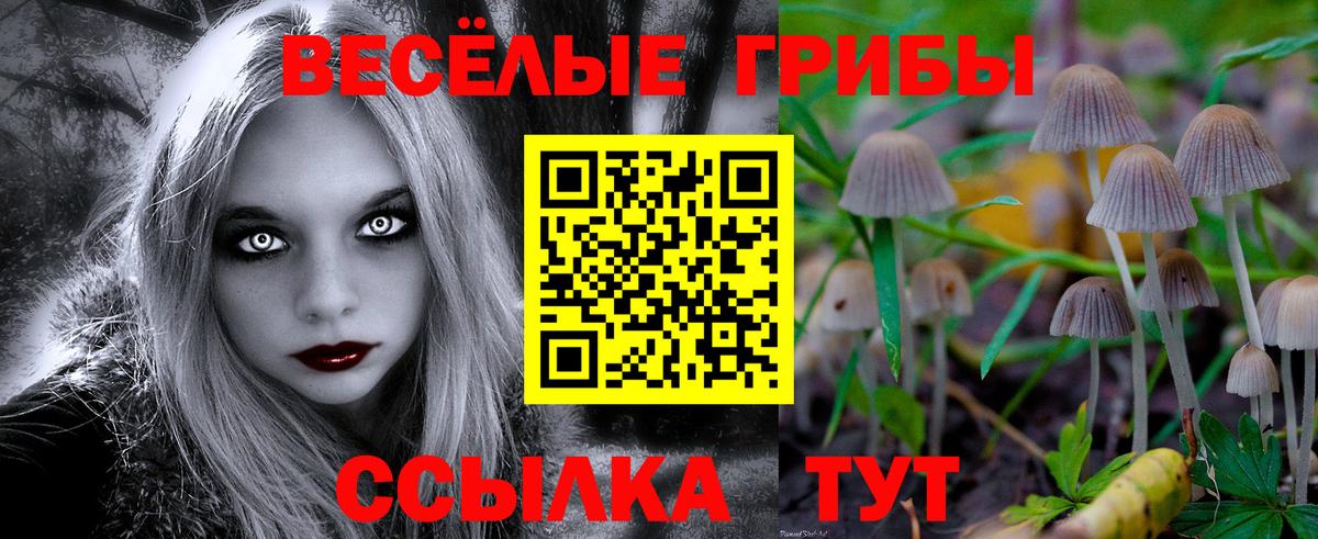 Долгопрудный  Галлюциногенные грибы мухоморы  Вход с VPN 